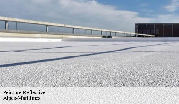 Peinture Réflective Solution Cool Roof