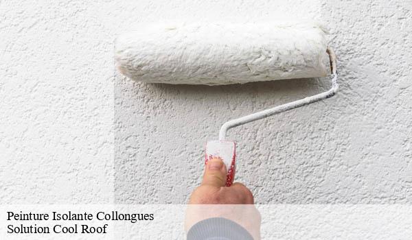 Peinture Isolante collongues-06910 Solution Cool Roof