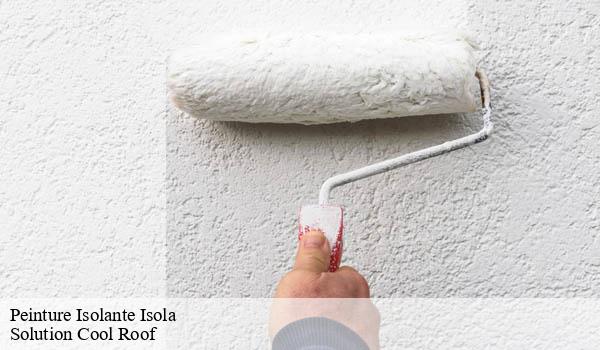 Peinture Isolante isola-06420 Solution Cool Roof