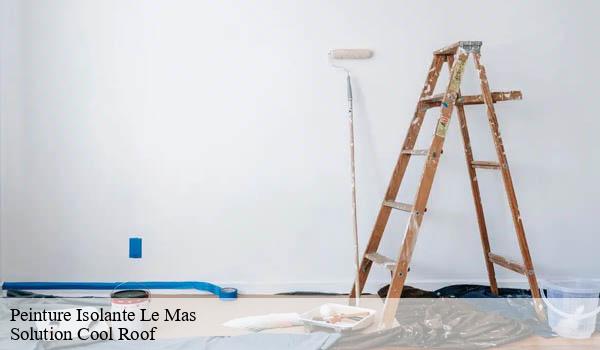 Peinture Isolante le-mas-06910 Solution Cool Roof
