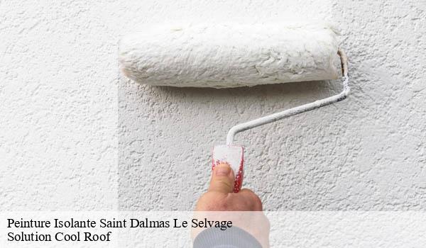 Peinture Isolante saint-dalmas-le-selvage-06660 Solution Cool Roof