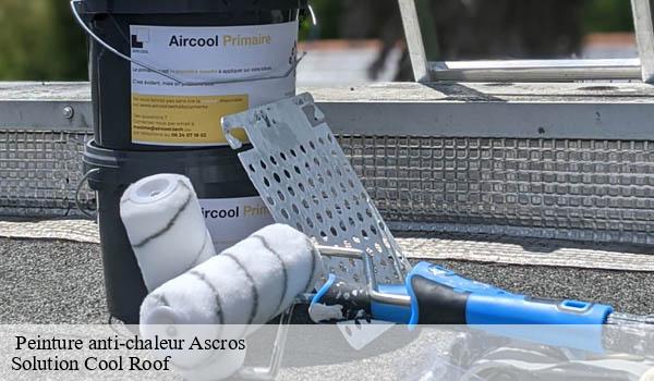 Peinture anti-chaleur ascros-06260 Solution Cool Roof