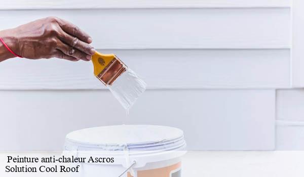 Peinture anti-chaleur ascros-06260 Solution Cool Roof