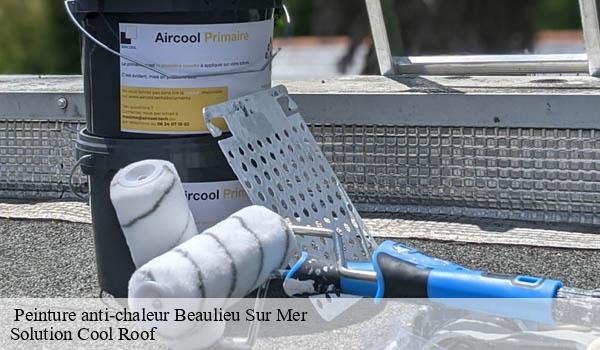 Peinture anti-chaleur beaulieu-sur-mer-06310 Solution Cool Roof