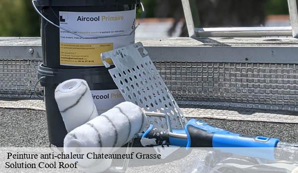 Peinture anti-chaleur chateauneuf-grasse-06740 Solution Cool Roof