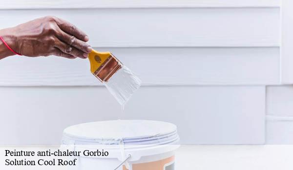 Peinture anti-chaleur gorbio-06500 Solution Cool Roof