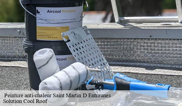 Peinture anti-chaleur saint-martin-d-entraunes-06470 Solution Cool Roof