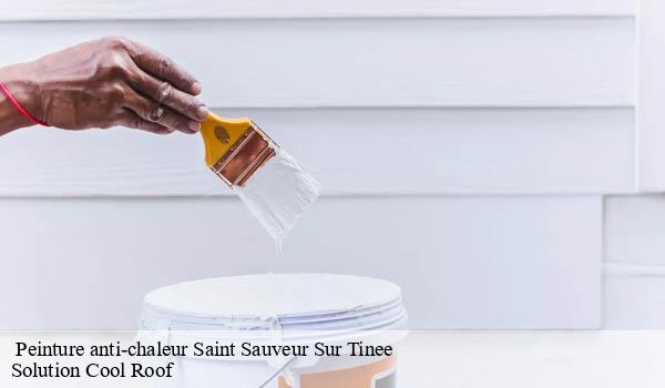 Peinture anti-chaleur saint-sauveur-sur-tinee-06420 Solution Cool Roof