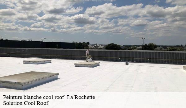 Peinture blanche cool roof la-rochette-06260 Solution Cool Roof