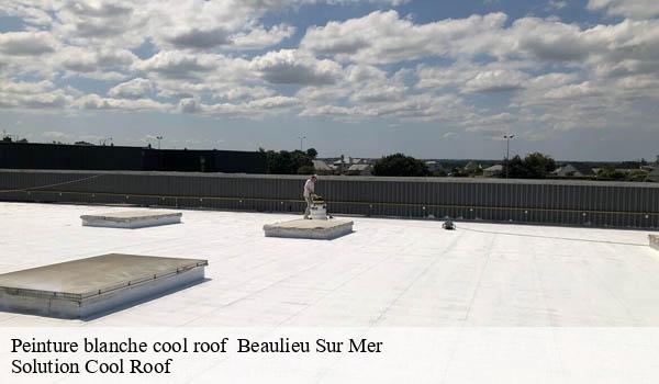 Peinture blanche cool roof beaulieu-sur-mer-06310 Solution Cool Roof