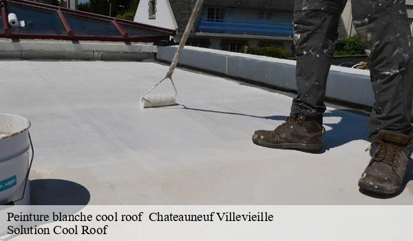 Peinture blanche cool roof chateauneuf-villevieille-06390 Solution Cool Roof