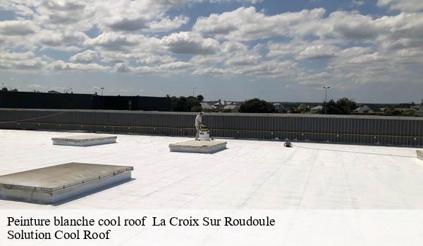 Peinture blanche cool roof la-croix-sur-roudoule-06260 Solution Cool Roof