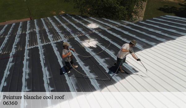 Peinture blanche cool roof eze-06360 Solution Cool Roof