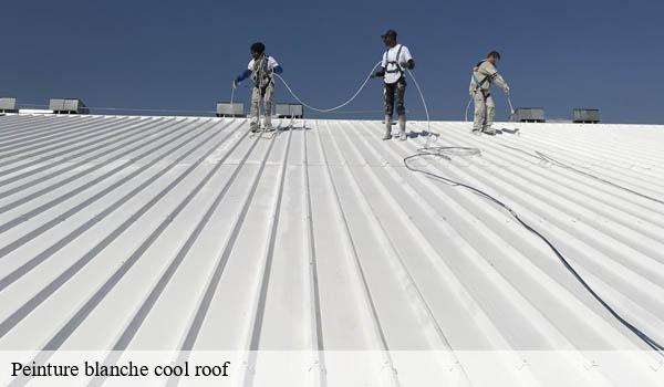 Peinture blanche cool roof eze-06360 Solution Cool Roof