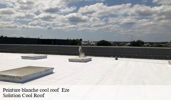 Peinture blanche cool roof eze-06360 Solution Cool Roof