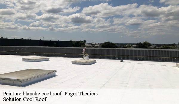 Peinture blanche cool roof puget-theniers-06260 Solution Cool Roof