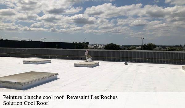 Peinture blanche cool roof revesaint-les-roches-06830 Solution Cool Roof