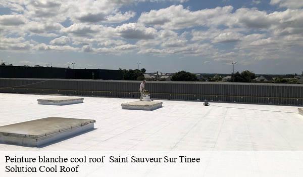 Peinture blanche cool roof saint-sauveur-sur-tinee-06420 Solution Cool Roof
