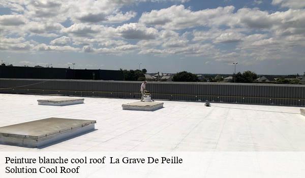 Peinture blanche cool roof la-grave-de-peille-06440 Solution Cool Roof